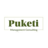 puketi limited logo image