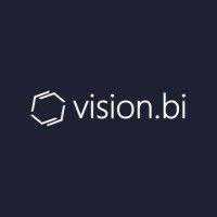 vision.bi logo image