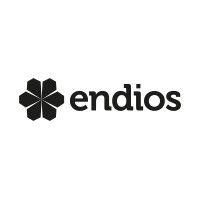 endios gmbh logo image