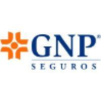 gnp seguros veracruz logo image