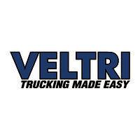 veltri, inc. logo image