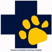 stratham-newfields veterinary hospital