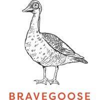 bravegoose ltd logo image