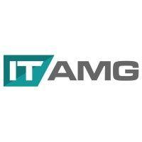 it asset management group logo image