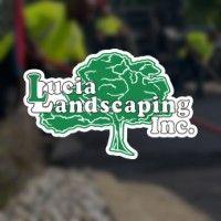 lucia landscaping inc. logo image