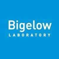 bigelow laboratory for ocean sciences logo image