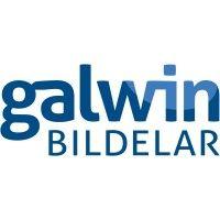 galwin bildelar ab logo image