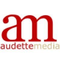 audettemedia, inc. logo image