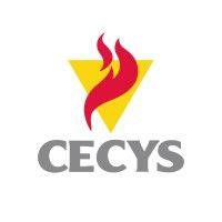 cecys audit, conseil & formation