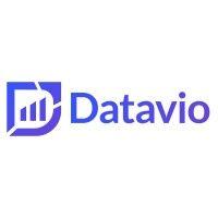 datavio logo image