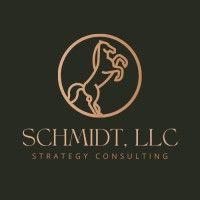 schmidt strategy consulting