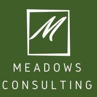 the lull doctor / meadows consulting logo image