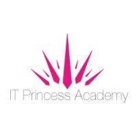 it princess academy logo image