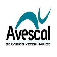 avescal servicios veterinarios