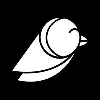 birdhill studio logo image