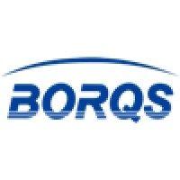 borqs logo image