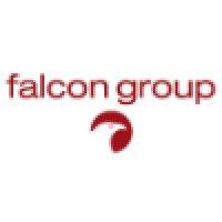 falcon group - international investment banking, private equity and investment advisory logo image