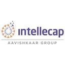 logo of Intellecap