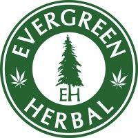 evergreen herbal logo image