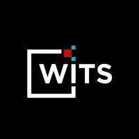 women in tech sales (wits) logo image