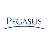 grupo pegasus logo image