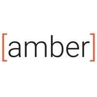 amber labs logo image