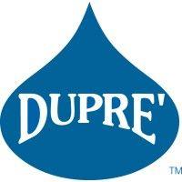 dupré logistics, llc logo image