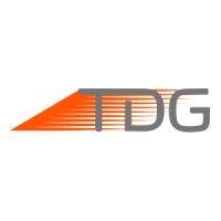 tdg gold corp. logo image