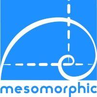 mesomorphic ltd logo image