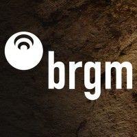 brgm logo image