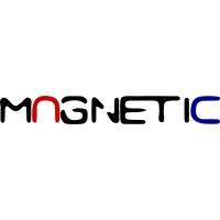 magnetic it services logo image