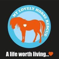 my lovely horse rescue