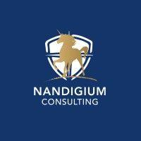 nandigium consulting logo image