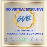 go virtual (gve) cfo advisory logo image