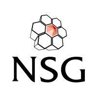 nsg environmental ltd