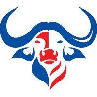 buffalo foundation logo image