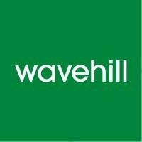 wavehill: social and economic research logo image