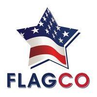 the flag company logo image