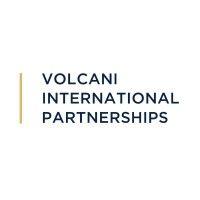 volcani international partnerships logo image