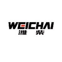 weichai power co., ltd