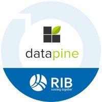 datapine