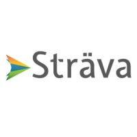 sträva technology group logo image