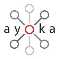 ayoka systems logo image