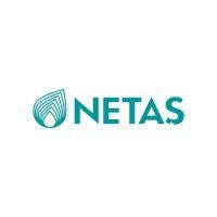 netaş logo image