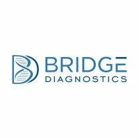 bridge diagnostics logo image