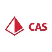 cas constructors, llc logo image