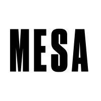 mesa logo image