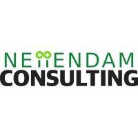 neiiendam consulting aps logo image