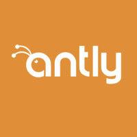 antly logo image