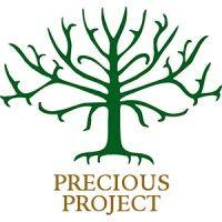 precious project, inc. logo image